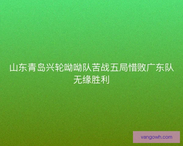 山东青岛兴轮呦呦队苦战五局惜败广东队无缘胜利