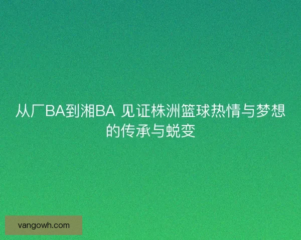 从厂BA到湘BA 见证株洲篮球热情与梦想的传承与蜕变